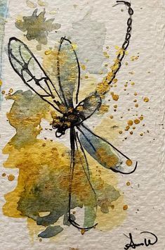 watercolor painting of a dragonfly on white paper