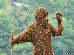 a man covered in bees standing on top of a lush green field