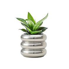 Calista's Amazon Page Plant Pot Indoor, White Ceramic Planter, Ceramic Planter Pots, Bubble Design, Drainage System, Ceramic Plant Pots, Ceramic Pots, Indoor Plant Pots, Beautiful Textures