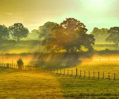 the sun shines brightly on an open field with trees in the foreground and green grass to the far side