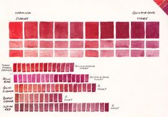 the different shades of red and pink are shown in this drawing, with each color being drawn