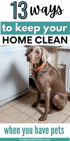 a dog sitting on the floor in front of a dishwasher with text overlay that reads 13 ways to keep your home clean when you have pets