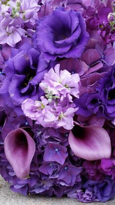 a bouquet of purple flowers on the ground