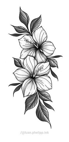 a black and white drawing of flowers