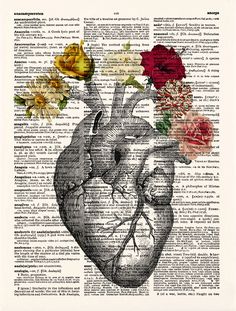 the human heart is surrounded by flowers on an old book page