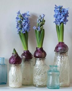 three vases with flowers in them sitting on a shelf next to bottles and jars