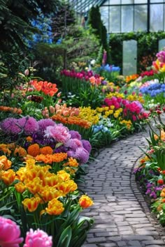 colorful flowers are growing in the garden path