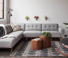 a living room with a sectional couch and potted plants on the wall next to it