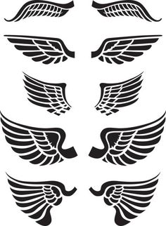 a set of black and white wings on a white background stock photo, images and illustrations