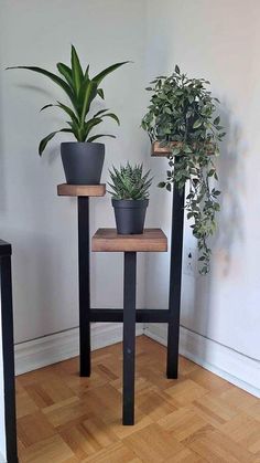 three potted plants sitting on top of wooden stands