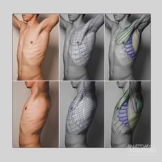 four different views of the human body with text describing what it is and how to use it