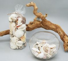 two vases with seashells in them next to a driftwood branch and glass bowl