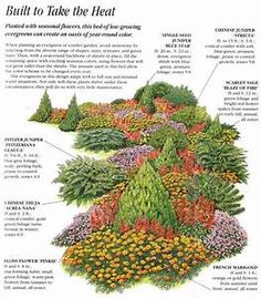 an illustrated diagram of different types of flowers and plants in the garden, with instructions on how to take the heat