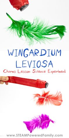 an image of a book cover with feathers flying in the air and text reading wingardium leviosa