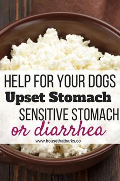 a brown bowl filled with white rice and text that reads help for your dogs upset stomach