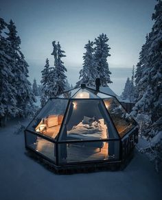 a glass cabin in the middle of snow covered trees with lights on it's roof