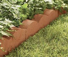 a row of brick planters sitting on top of green grass covered ground with plants growing out of them