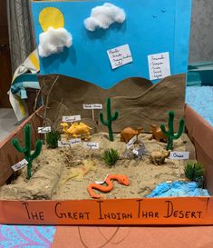 Desert Shoe Box Project, Desert Learning Activities, Sonoran Desert Diorama, Shoe Box Diorama Desert, Desertification Projects, Desert Biome Shoebox Project, Desert Diarama Ideas, Desert Habitat Diorama