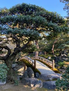 a wooden bridge over a small pond surrounded by rocks and trees with moss growing on them