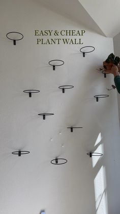 a man working on a wall with many circular holes in the wall and words easy & cheap plant wall above it