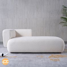 a white couch sitting on top of a rug next to a plant