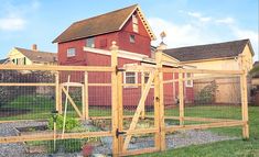 a chicken coop in front of a house with a red building behind it and green grass on the ground