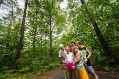 a group of people standing in the woods