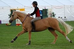 a person riding on the back of a brown horse in a field with tents behind them