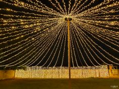 a large tree covered in lights next to a fence