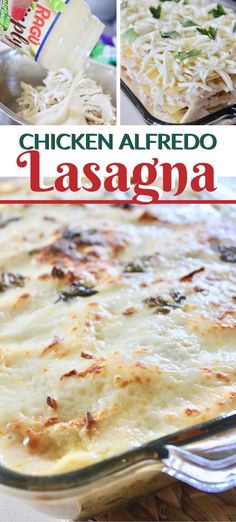 chicken alfredo lasagna in a casserole dish