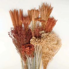 dried flowers are arranged in a vase on a table