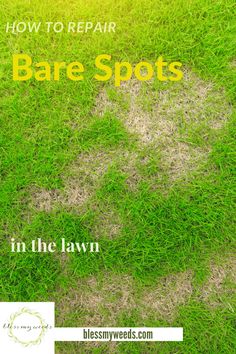 an image of the grass that has been mowed with text overlaying how to repair bare spots in the lawn