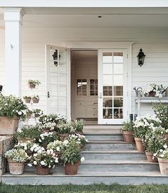 potted flowers line the front steps of a white house