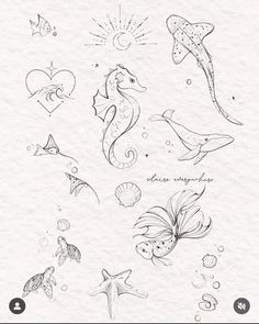 an image of sea animals drawn on paper