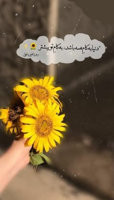 a hand holding a bouquet of sunflowers with a thought bubble above it that says,