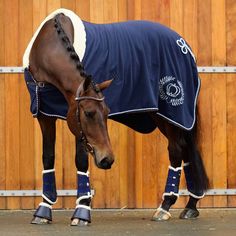 a brown horse wearing a blue blanket and boots standing in front of a wooden fence