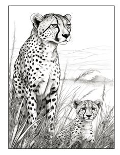 a black and white drawing of two cheetah's in tall grass with mountains in the background