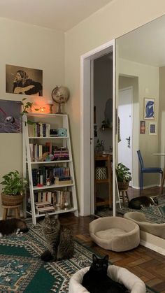 two cats are sitting on the floor in front of a mirror and bookshelf