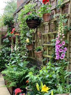 many different types of flowers growing on the side of a brick wall in a garden