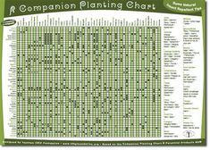 a cross stitch chart with the words companion planting chart in green, white and black