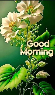 the words good morning are written on a green background with white flowers and large leaves