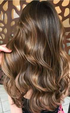 Long Layered Highlighted Brown Hair, Warm Tone Highlights Brunettes, Warm Tone Brown Hair With Highlights, Multi Tonal Brown Hair, Warm Brunette Hair Color With Highlights, Warm Brown Dimensional Hair, Warm Toned Brown Hair, Brown With Warm Highlights, Golden Brown Dimensional Hair