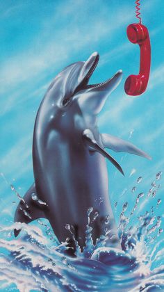 a dolphin jumping out of the water with a red phone