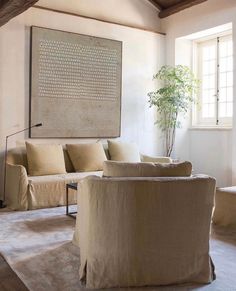 a living room filled with furniture and a plant