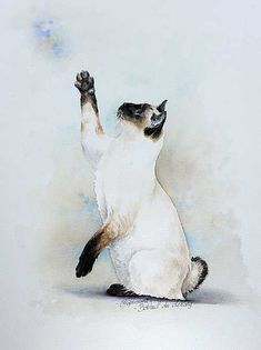 a painting of a siamese cat reaching up to catch a frisbee in the air