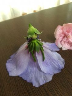 two pink and purple flowers sitting on top of a wooden table next to each other