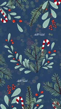 a blue background with red and white candy canes, holly branches, and candy canes