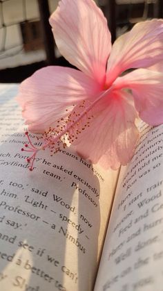 a pink flower sitting on top of an open book