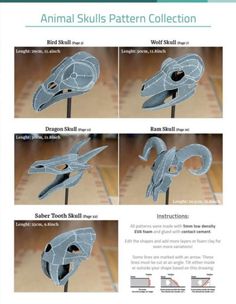 the instructions for how to make an animal skull