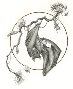 a drawing of a bat hanging upside down on a tree branch with flowers in the background